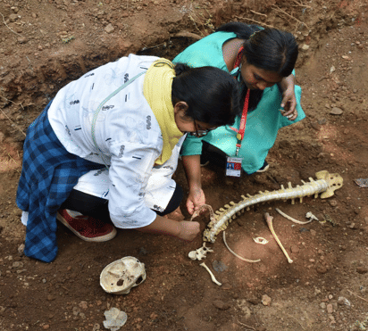 Somaiya Vidyavihar University Mumbai Campus photo 36
